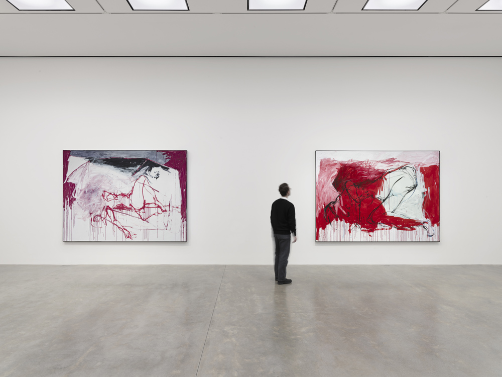 Visitor viewing paintings inside White Cube gallery