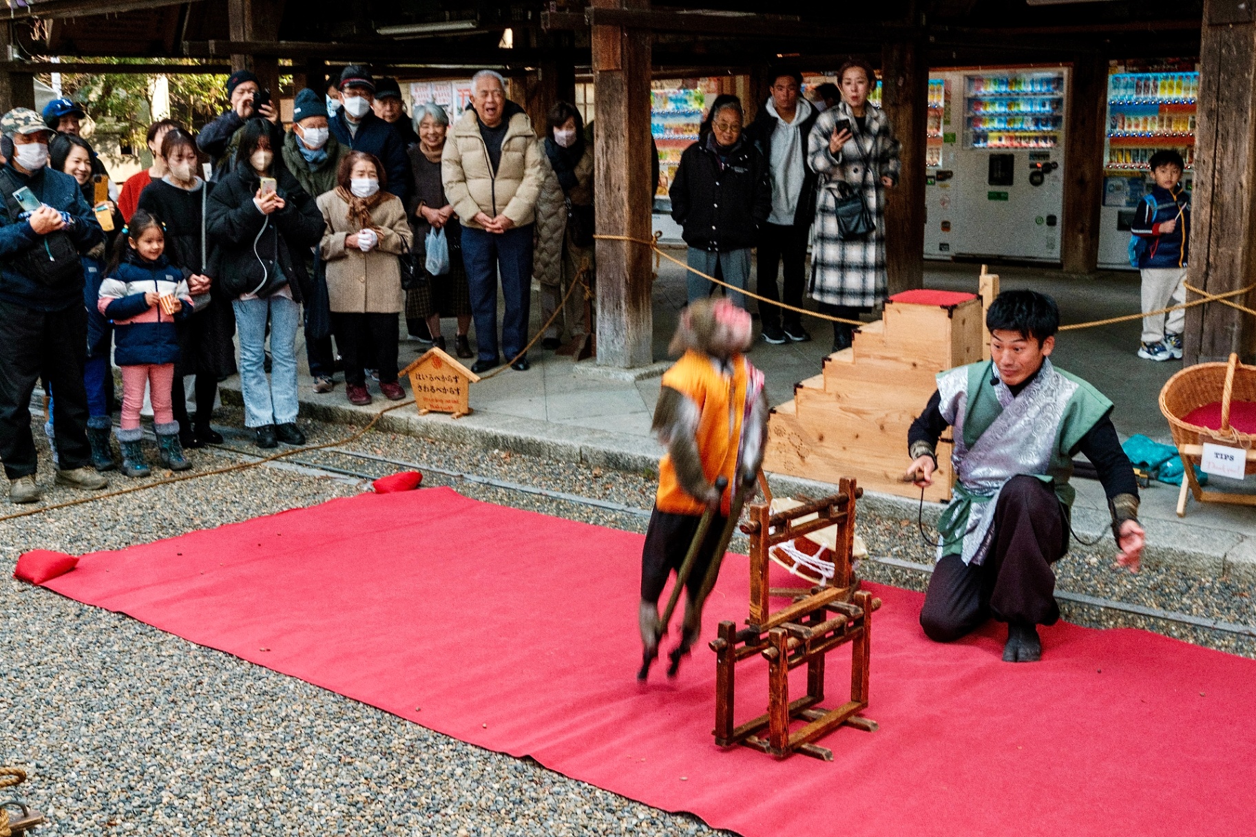 Monkey performance at a Japanese shrine